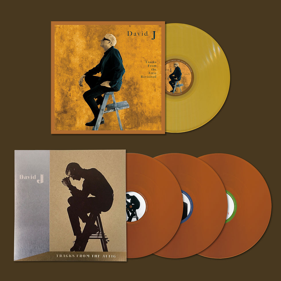 Thumbnail: DAVID J - Tracks From the Attic Revisited + Tracks From the Attic LP Bundle #1