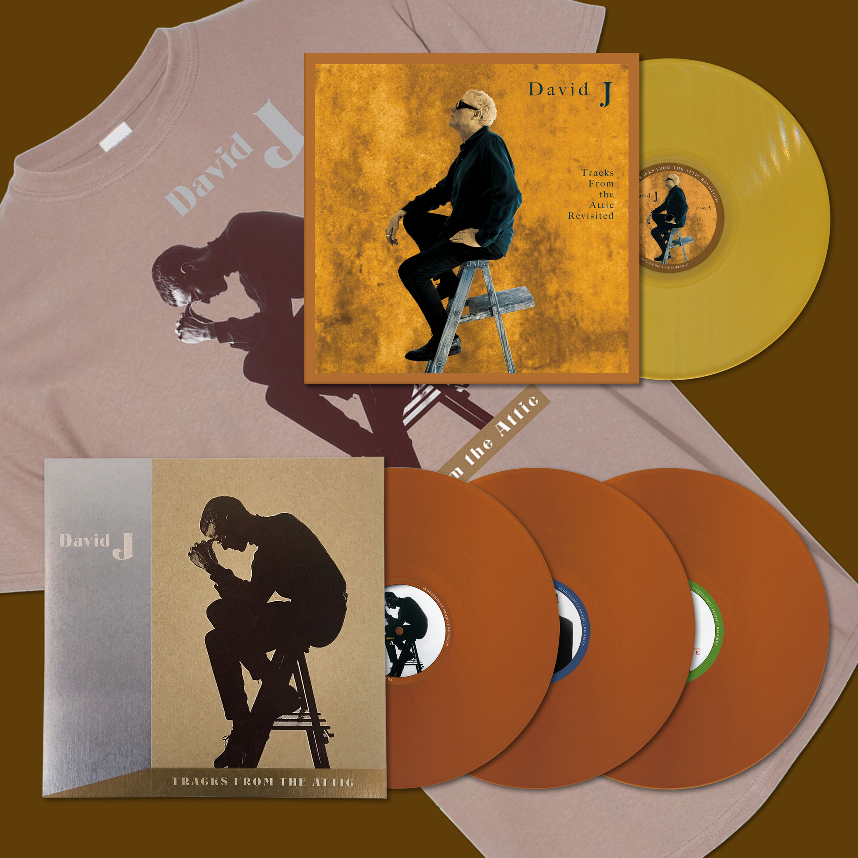 DAVID J - Tracks From the Attic Revisited + Tracks From the Attic LP Bundle #3
