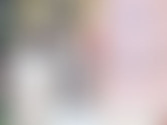 スティナランドご招待