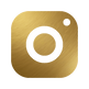 icons8-instagram-480 GOLD3