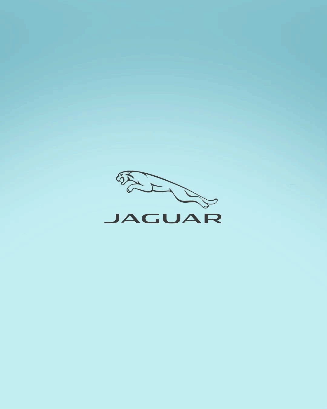 JaguarSketch.gif
