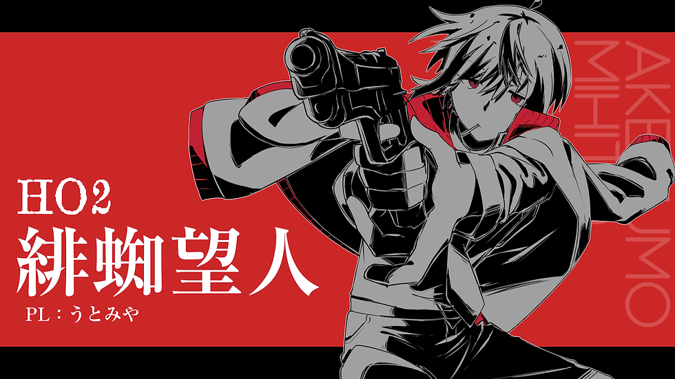 HO2 緋蜘望人