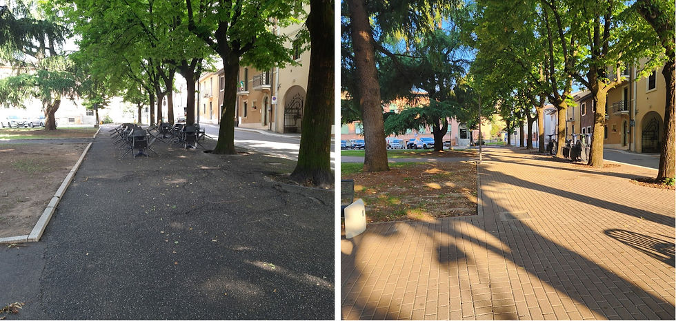 Particolare delle aree - pre e post intervento