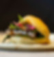 panino fusion firenze