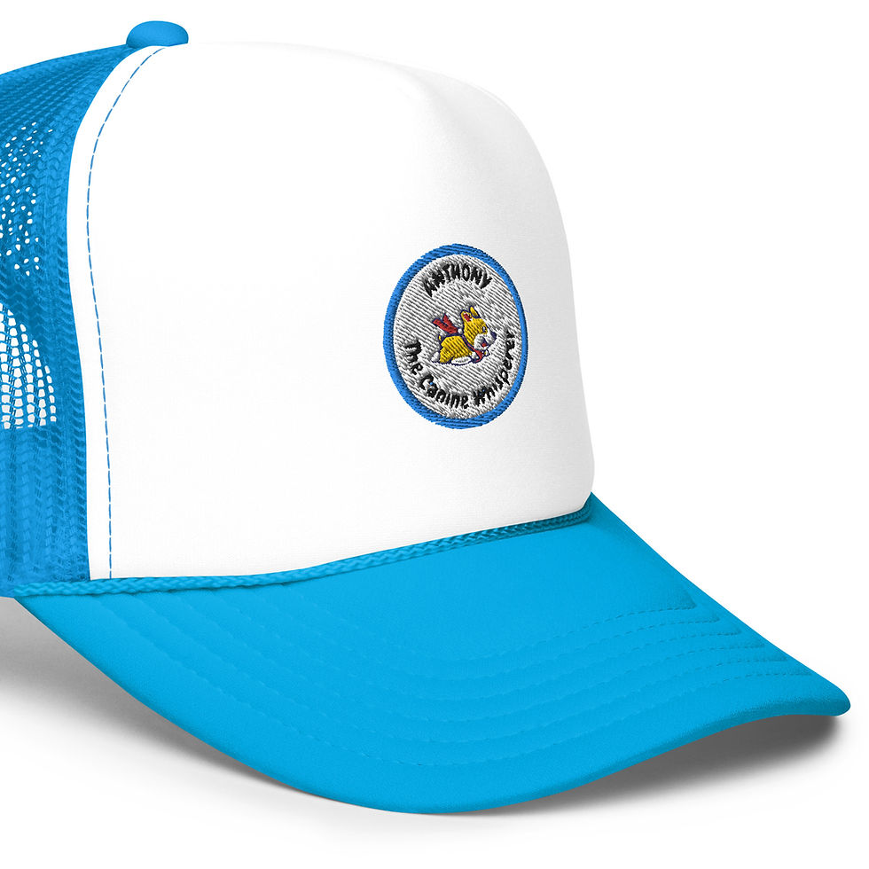Thumbnail: Anthony's favorite trucker hat