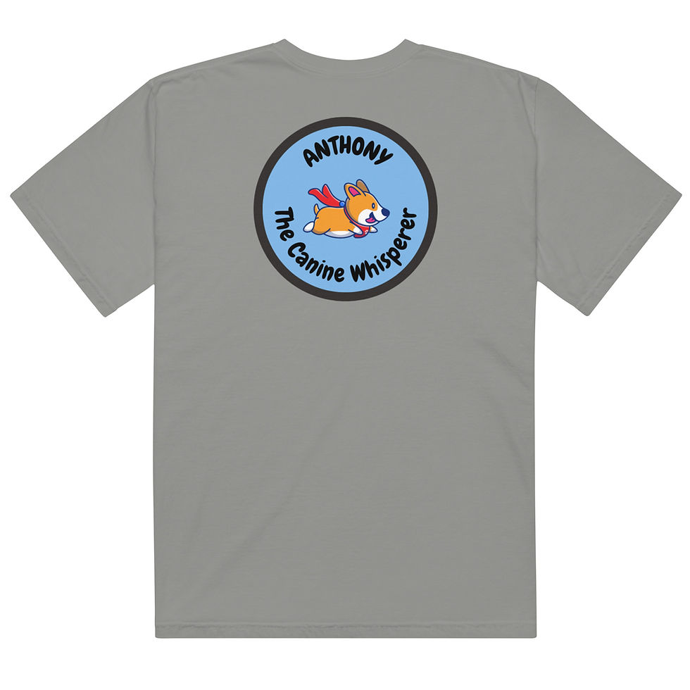 Thumbnail: Men’s heavyweight  t-shirt