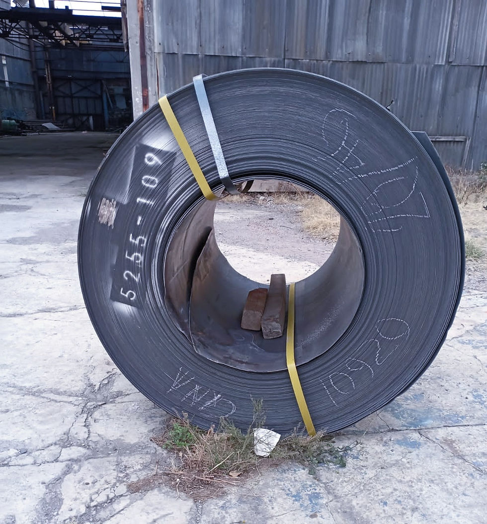 WhatsApp Image 2022-06-23 at 2.16_edited