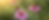 1000022716.png
