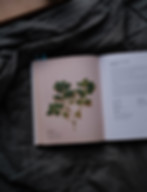 A7R00245.jpg