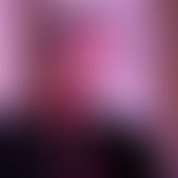 Bélgica honra a Bram Govaerts por su liderazgo al frente del CIMMYT y su impacto en la agricultura mundial