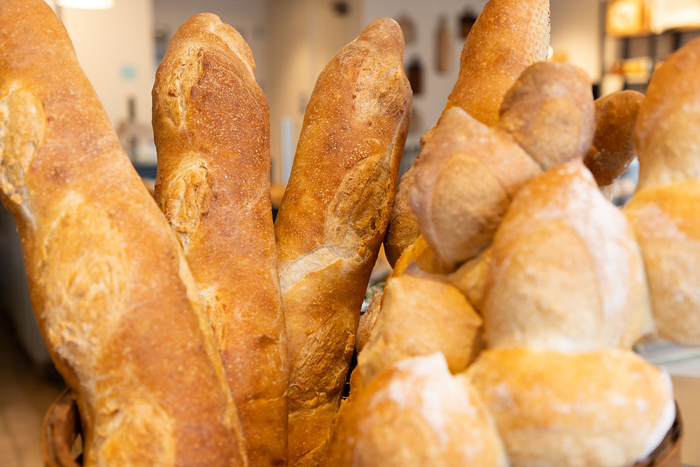 Arranged Food and Objects