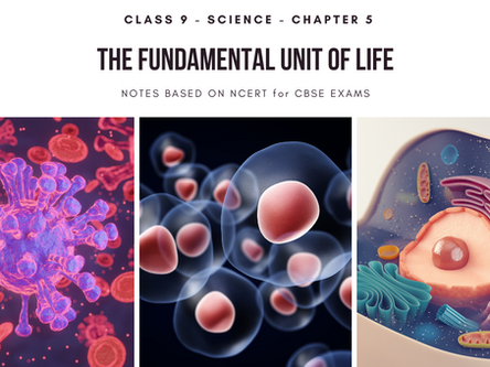 Fundamental Unit of Life - Class 9 Science Notes
