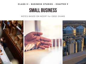 Meaning and Nature of Small Business | Business Studies | Class 11