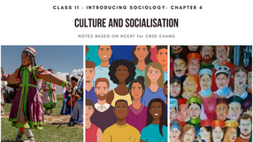 Sociology | Class 11| Culture and socialization
