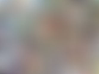 Changes to the 34th annual Essex Fun Fest attracts plenty of interest