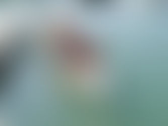 Wind and waves put the “challenge” in the fourth annual Lake Erie Challenge