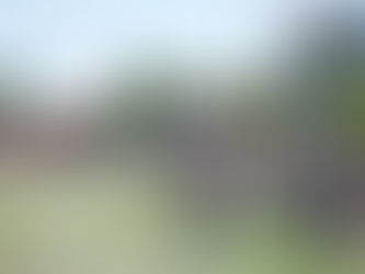 Party at the Park rocks Essex Centre for JDRF