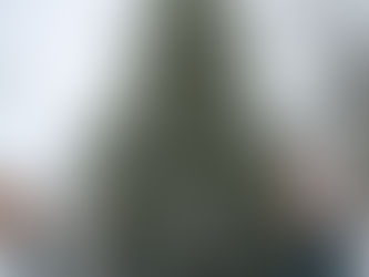 Essex uses modified, virtual tree lighting to honour frontline workers