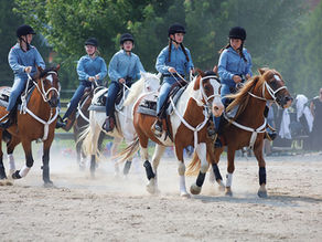 Showdeo showcases the talent, animals, and facilities of Lazee G Ranch