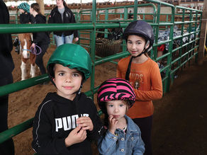 Educational Day at Lazee G gets connects visitors to the farm animals