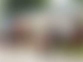 Horse Show & Fall Festival still a strong event in Cottam