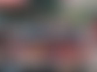 Lakeshore celebrates Canada Day in Stoney Point