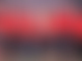 Essex Home Hardware wins national store of the year award