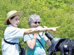 Birdwatchers gather at Hillman Marsh to catch a glimpse of shorebirds