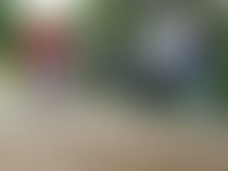 Area elementary schools compete in Pronger Qualifier Meets