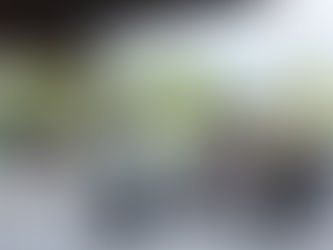 Southwest Sound rocks Tune Up the Parks