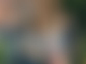 Grit, determination, talent: This is the Jim Mahon story