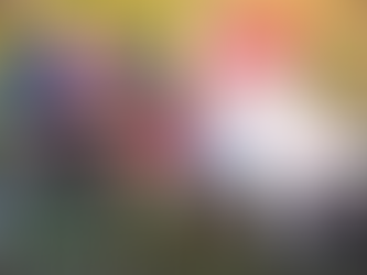 Teddy Bear Picnic and Movie Night wraps-up the summer season right