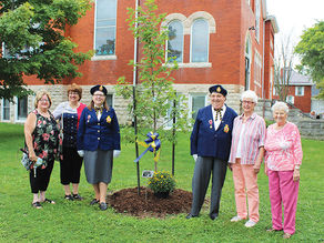 Community urged to get involved with Legion Week in Essex