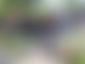 Legion Week activities hoped to draw in new members