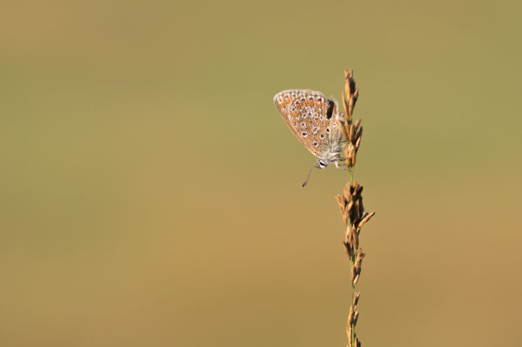 14 Sep 20 - LD - 04