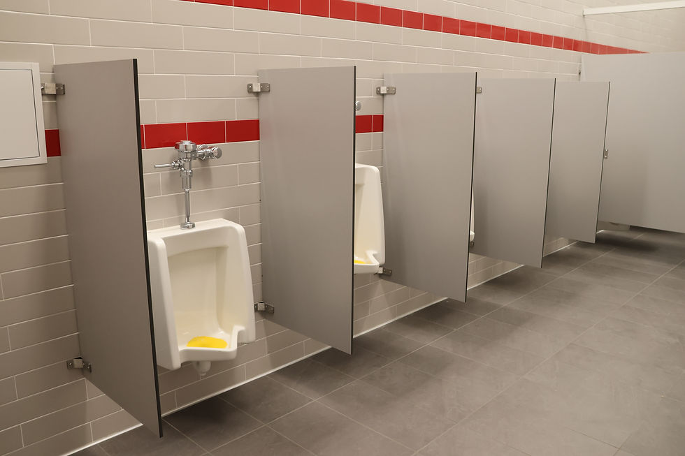 Urinal Partitions