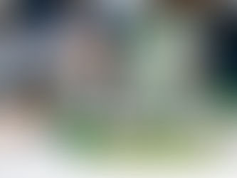 El Auge de la Sostenibilidad: Tendencias Empresariales Eco-Conscientes en el 2024