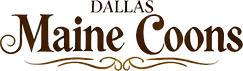 dallas maine coons logo text