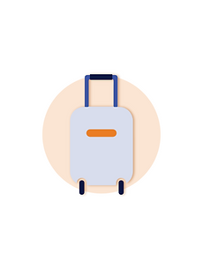 Trolly Bag.png