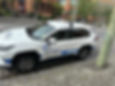 IMG_8274.JPEG