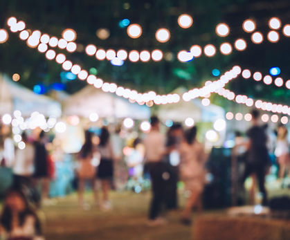 blurred sfeer met publiek en prikkabel.jpeg