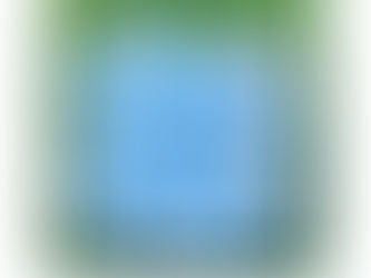 🎍謹賀新年🎍