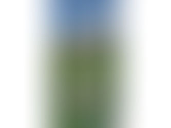 お盆期間の営業について