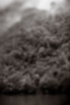Solitude-4