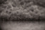 Solitude-6