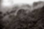 Solitude-5