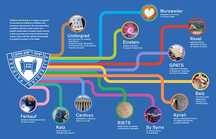 YU ecosystem