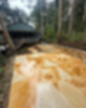 447946AB-CA75-4D27-BCBA-9685776ACDE5.jpeg