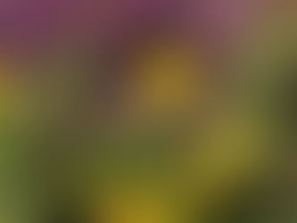 Tarac Ridge Poems - Of Equal Importance Nick Armbrister