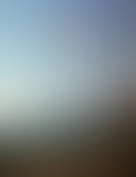 Juniper’s Daughter: Fookin' Weech Nick Armbrister poem